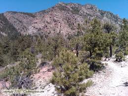 certificate of qualification colorado