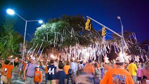 Two famed oak trees at Auburn