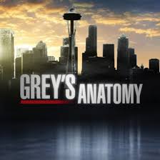 Greys Anatomy Season 7