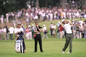 2010 Ryder Cup Scores and