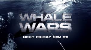 series WHALE WARS. more