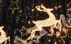 smokey mountains christmas tour