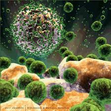 effective HIV vaccine.