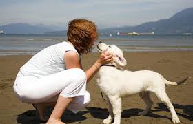Studies have shown that pets may increase overall health benefits for humans.