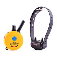 E-collar Technologies Mini Educator