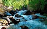 nature around HD wallpaper | wallnen.