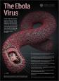 Science/AAAS | Special Collection: Ebola