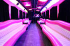 Pink Party Bus