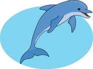 Image result for dolphin clipart