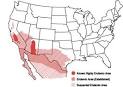 What is VALLEY FEVER? « VALLEY FEVER Vaccine Project of the Americas