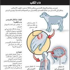 :(Dog Diseases   (part one Images?q=tbn:ANd9GcQFU0MsxYbc2Vqtvyz2_m6vrp4uGvQaquPuQ6djHynVUDIpyhidNw
