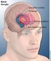 Chronic motor <b>tic disorder</b>
