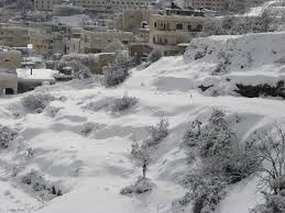 الثلج فى فلسطين Images?q=tbn:ANd9GcQGsLn5zBRIh03pespUbGQLO0KRN8jJWb3ZZrtxD_mgTXr67M0tBe3XVKH72Q