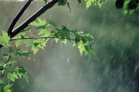 Image result for ‫باران‬‎