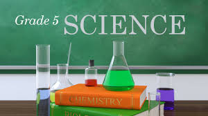 Image result for 5th grade science