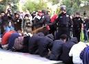 Video shows office pepper-spraying protesters at UC Davis - NY ...