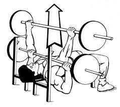 Fitness Tip Submission