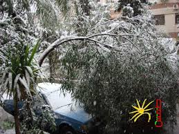  صور لثلوج مدينة دمشق 12\12\2010 Images?q=tbn:ANd9GcQPKLL_6xLU364dKzBhaSZ8db6Tiedh9%20%201ZIOAbAyq7O9Xva4QT6