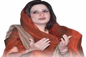 Case against Hamza not withdrawn: Ayesha Malik | karachireports - case-against-hamza-not-withdrawn