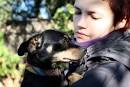 Hobby - für den Tierschutz - Melanie Triebel - Hunde urteilen nicht und ... - thumb_500x375_1824_tierschutz-hobby-1