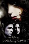 Movie Review Twilight Saga Breaking Dawn Part 1