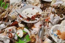 food waste food waste