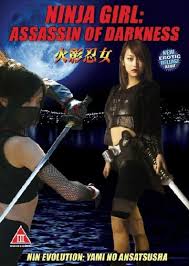 Ninja Girl: Assassin of Darkness (2009)