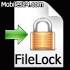 file-lock