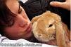 Fallstudie aus der Tierheilpraktiker-Praxis: Ektoparasiten beim Kaninchen - 2011-03-Ektoparasiten1