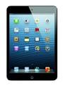 Amazon.com : Apple iPad Mini MD528LL/A (16GB, Wi-Fi, Black and Slate.