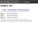 apache webserver loading index of / page instead of directly ...