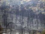 19 Firefighters Are Dead After Battling Massive Arizona Wildfire ...