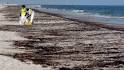 Judge Delays Federal Trial On Gulf Oil Spill Disaster To Allow ...
