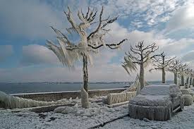 http://t0.gstatic.com/images?q=tbn:ANd9GcQiIgtpAOTYoMIYS7ZfOCEKQMGhHgGQGPYFG5_jSEwRz5gkFE67