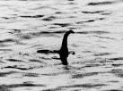 LOCH NESS MONSTER: Facts About Nessie