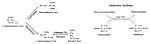 to <b>methylmalonic acid</b>,