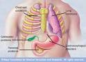 <b>Chest pain</b>
