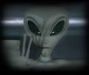 Typical Grey Alien dude! The