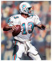 DAN MARINO Miami Dolphins Football Sports Art Print