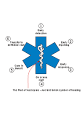 <b>Emergency medical services</b>