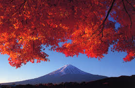 「秋の富士」の画像検索結果