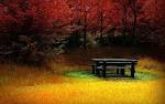 Art Nature Wallpaper HDR Effect | Download Wallpaper, Wallpaper ...