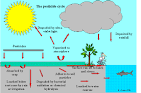 <b>Pesticides</b> in the UK