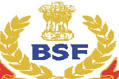 JandK: Pakistan violates ceasefire again, BSF jawan killed - IBNLive