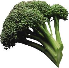 Le brocoli, un légume contre le cancer