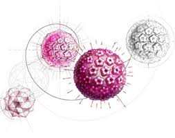 VIDEO Ilustrado - Os males e características do vírus HPV