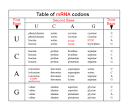HPP-Biology 12