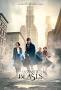 Image result for دانلود دوبله فارسي فيلم Fantastic Beasts And Where To Find Them 2016