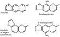 <b>Psoralens</b>