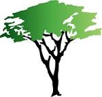 Trees and More Trees